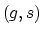 $(g,s)$