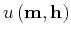 ${u}\left ({\bf m},{\bf h}\right)$