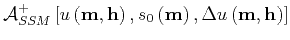 $ \mathcal{A}^{+}_{SSM}\left [{u}\left ({\bf m},{\bf h}\right),s_0 \left ({\bf m}\right),{\Delta {u}}\left ({\bf m},{\bf h}\right) \right]$