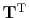 $ \bold T\T$