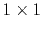 $ 1\times 1$
