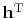$ \bold h\T$