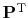 $ \bold P\T$
