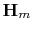 $\mathbf{H}_m$
