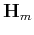 $ \mathbf{H}_m$