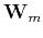 $\mathbf W_m$