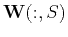 $ \mathbf{W}(:,S)$