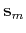 $\mathbf{s}_m$