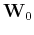 $\tensor{W}_0$
