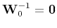 $\tensor{W}_0^{-1} = \mathbf{0}$