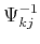 $\Psi^{-1}_{kj}$