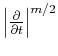 $\left\vert\frac{\partial}{\partial t}\right\vert^{m/2}$