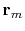 $\mathbf{r}_m$