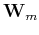 $ \mathbf{W}_m$