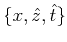 $ \{x,\hat{z},\hat{t}\}$