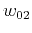 $w_{02}$