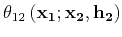 $\displaystyle \theta_{12}\left({\bf x_1;x_2, h_2}\right)$