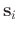 $\mathbf{s}_i$