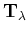 $ \mathbf {T_{\lambda }}$