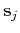 $ \mathbf{s}_{j}$