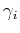 $ \gamma_i$