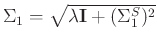 $\Sigma_1=\sqrt{\lambda\mathbf{I}+(\Sigma_1^S)^2}$