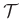 $\mathbf{\mathcal{T}}$