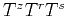 $T^z T^r T^s$