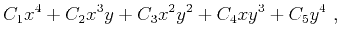 $\displaystyle C_1x^4+C_2x^3y+C_3x^2y^2+C_4xy^3+C_5y^4~,$