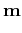 $\displaystyle \mathbf{m}$