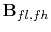 $ \mathbf{B}_{fl,fh}$