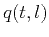 $q(t,l)$
