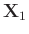 $\mathbf{X}_1$