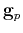 $\mathbf{g}_p$