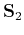 $\mathbf{S}_2$