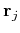 $ \mathbf{r}_j$