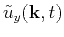 $ \tilde{u}_y(\mathbf{k},t)$