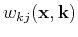$ w_{kj}(\mathbf{x},\mathbf{k})$