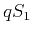 $ qS_{1}$