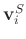 $\mathbf{v}_i^S$